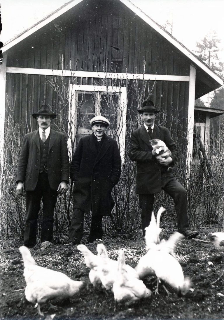 Pelle Höök m.fl