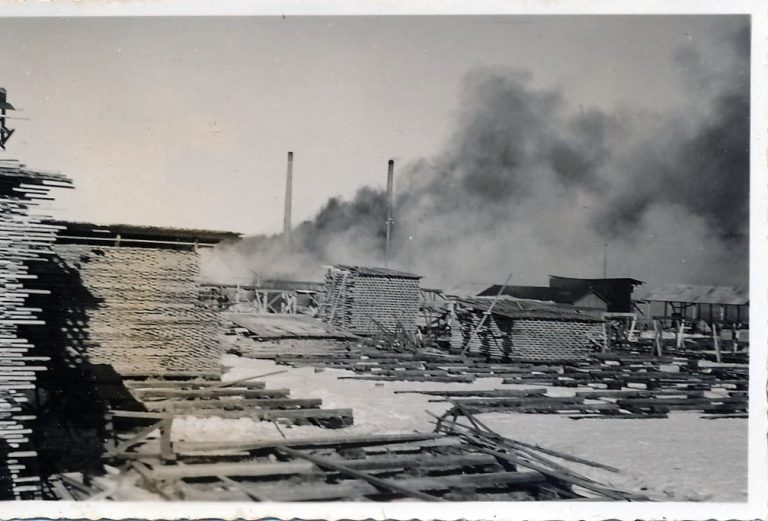 Brosågen 1938