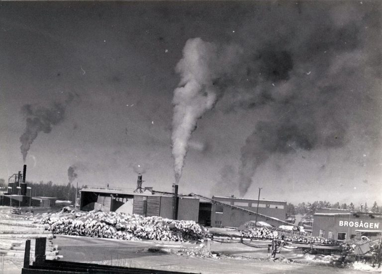 Brosågen (2)