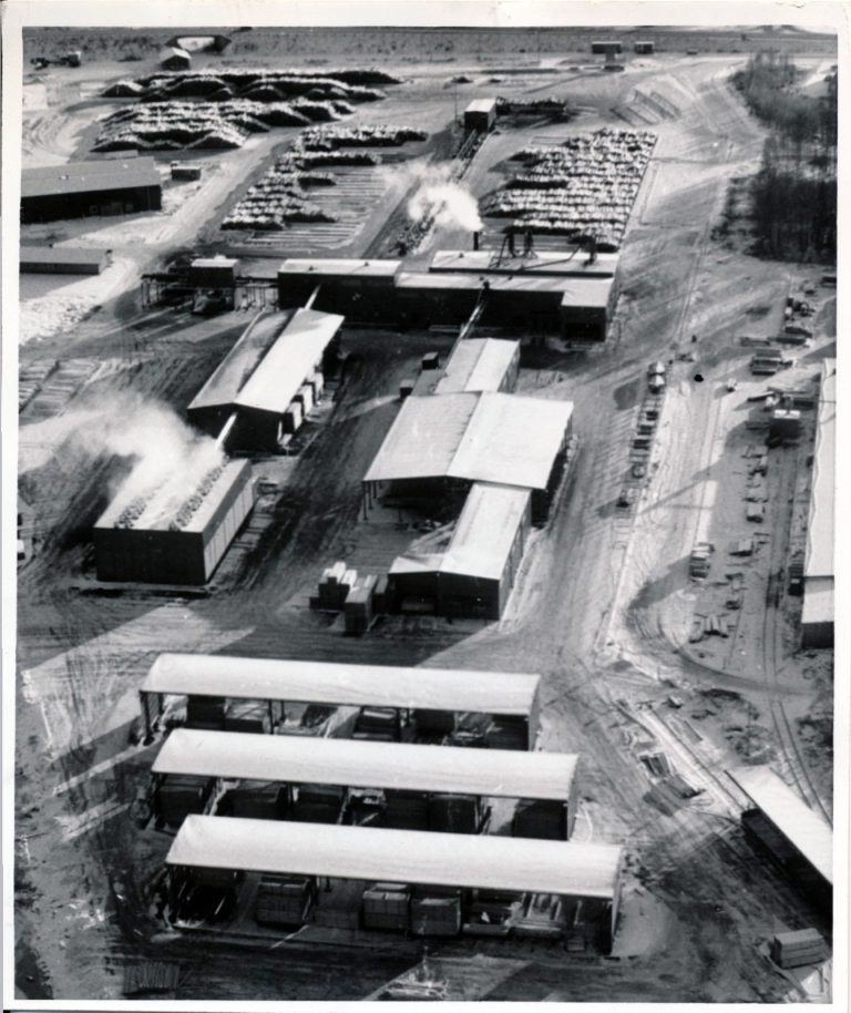 Brosågen 1981 (1)