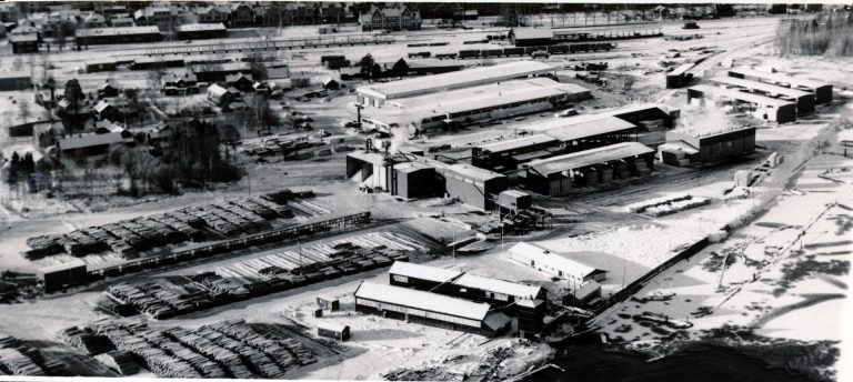 Brosågen 1981 (2)