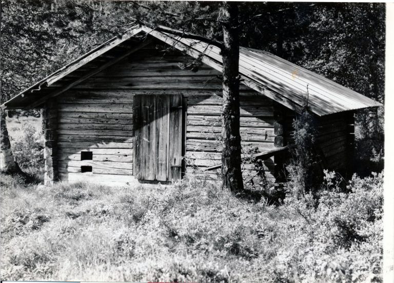Gammal Bössmedja