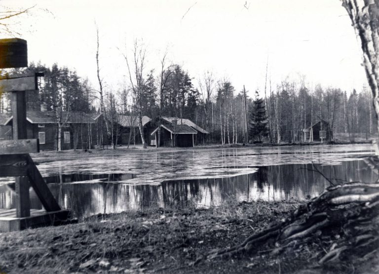 Högvatten 1982